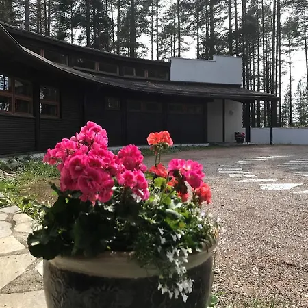 Hotel Luontohotelli Sapson Helmi 3*