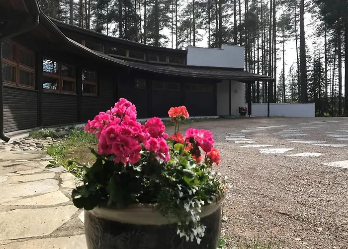 Ξενοδοχείο Luontohotelli Sapson Helmi 3*